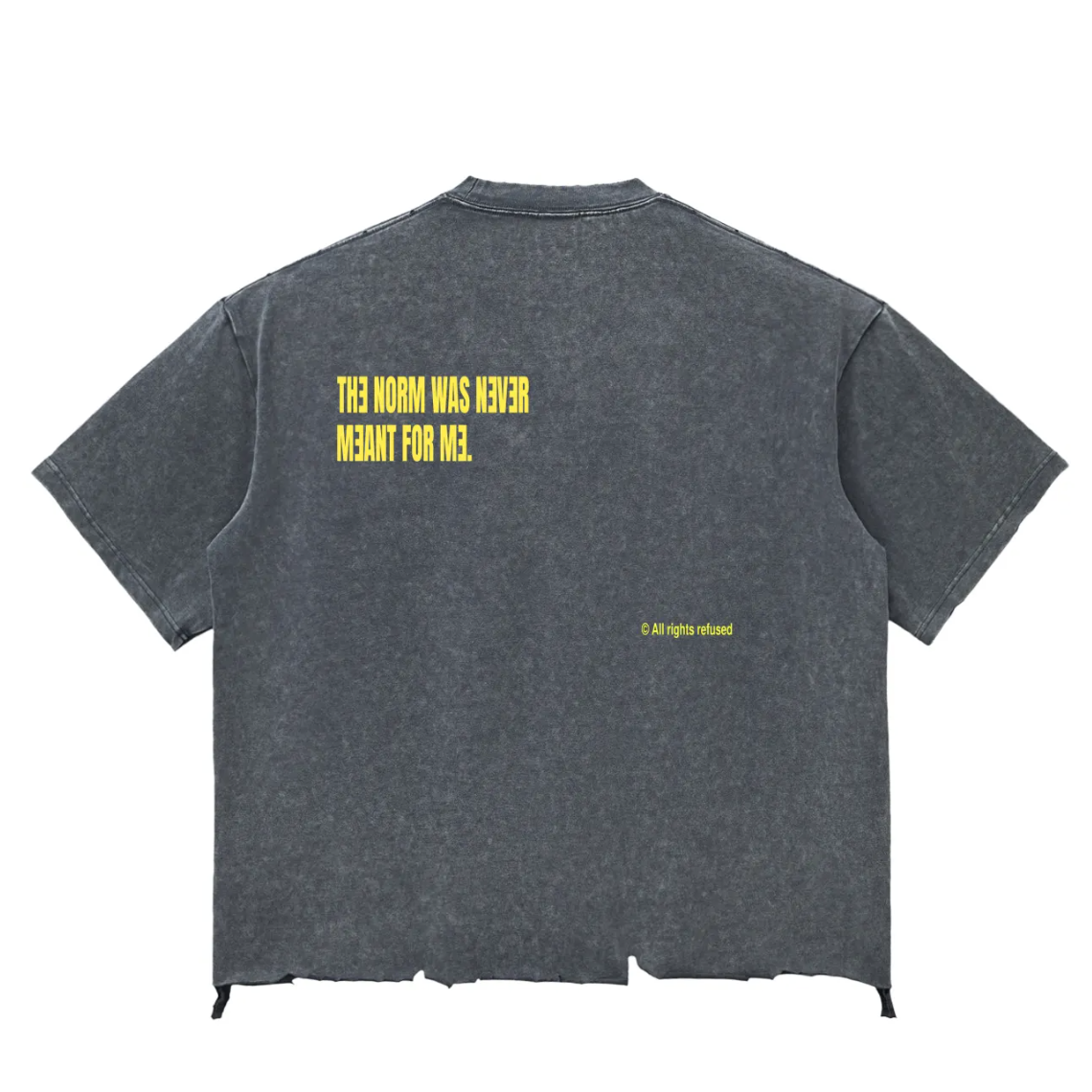 A stone gray acid-wash t-shirt shown from the back, featuring yellow text that reads 'THE NORM WAS NEVER MEANT FOR ME.' on the upper back and a small copyright notice near the lower right.